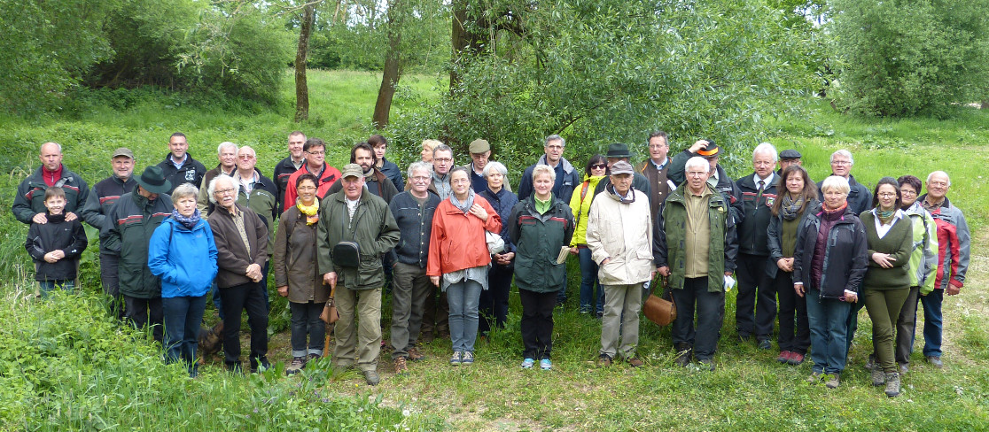 eiche als witrschaftsbaumart